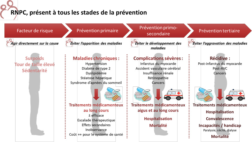 Stades de prévention